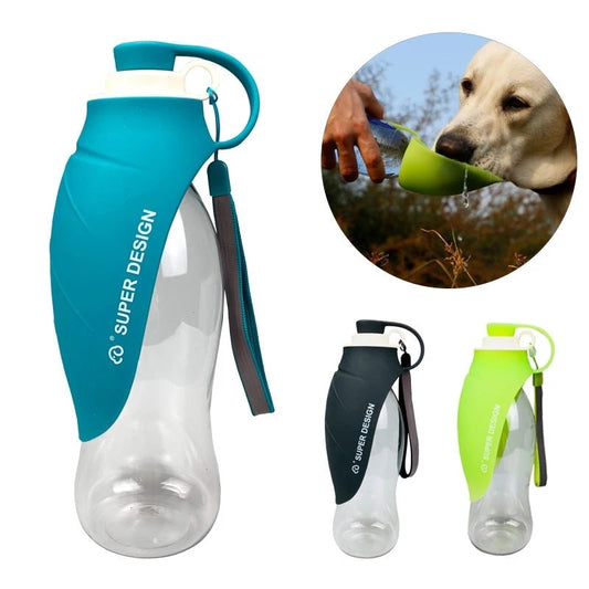 500ml Pet Water Bottle - Gillie's Boutique