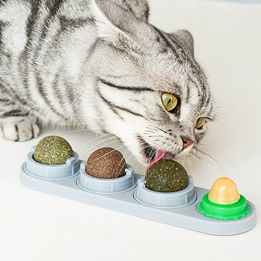 Cat Treat Holder
Treats not included. - Gillie's Boutique