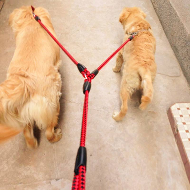 2 Way Braided Nylon
 Dual Dog Leash - Gillie's Boutique