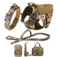 Adventure/Outdoors Dog Harness and Leash SET - Gillie's Boutique