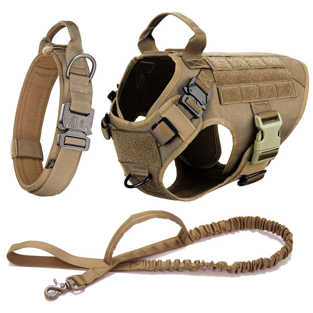 Adventure/Outdoors Dog Harness and Leash SET - Gillie's Boutique